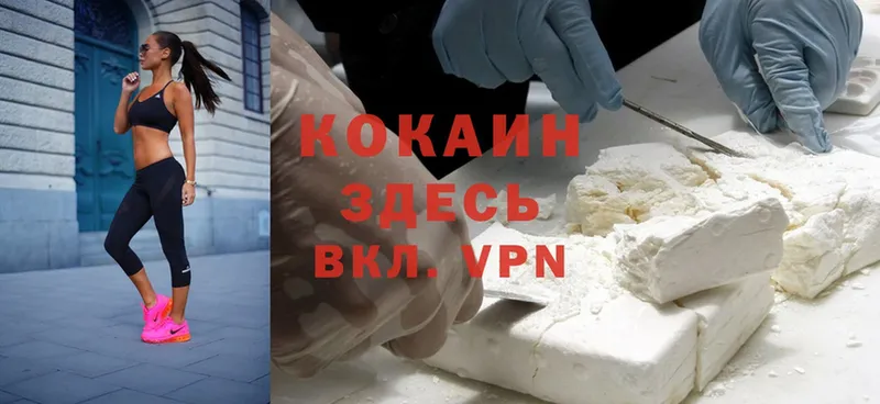 купить наркотики сайты  мориарти телеграм  Cocaine Колумбийский  Рыльск 